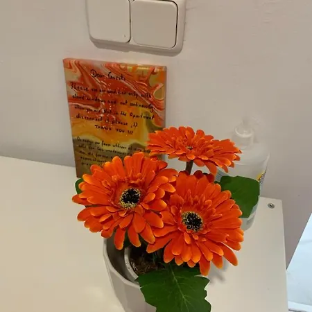 Balcon De Lägenhet *